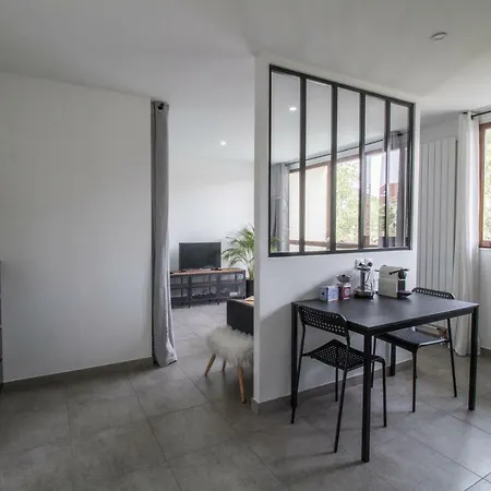 Apartament Grand Studio Avec Balcon Et Parking Privatif