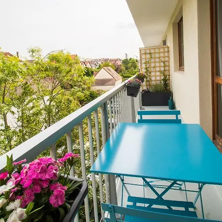 Grand Studio Avec Balcon Et Parking Privatif Apartament Antony
